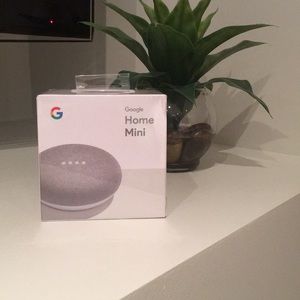 Brand new google home mini